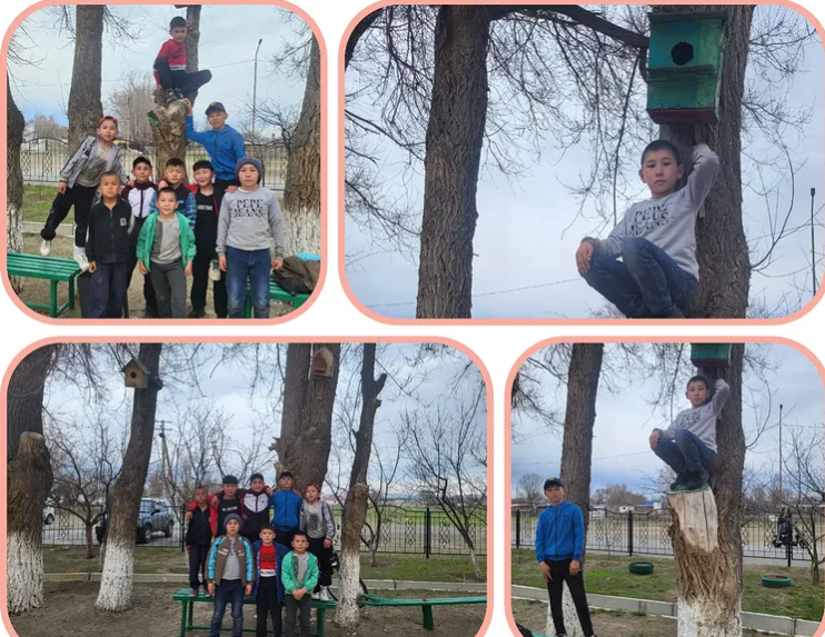 Құстарға ұя жасау